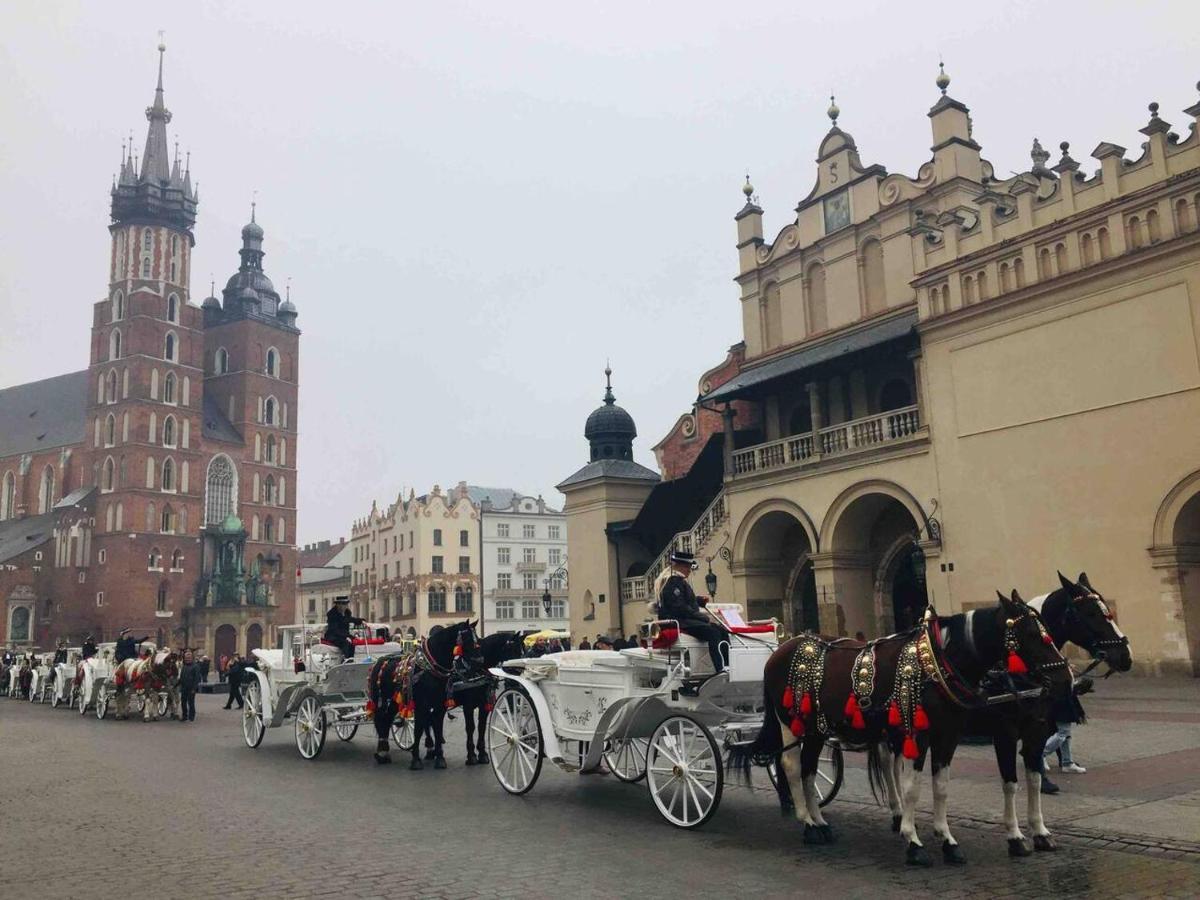 In Old Town Apartment Krakau